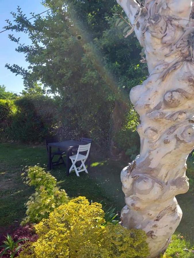 Chez Michel Et Michele Hotel Calan ภายนอก รูปภาพ